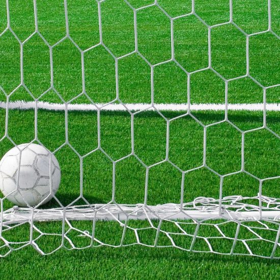 ball in goal net